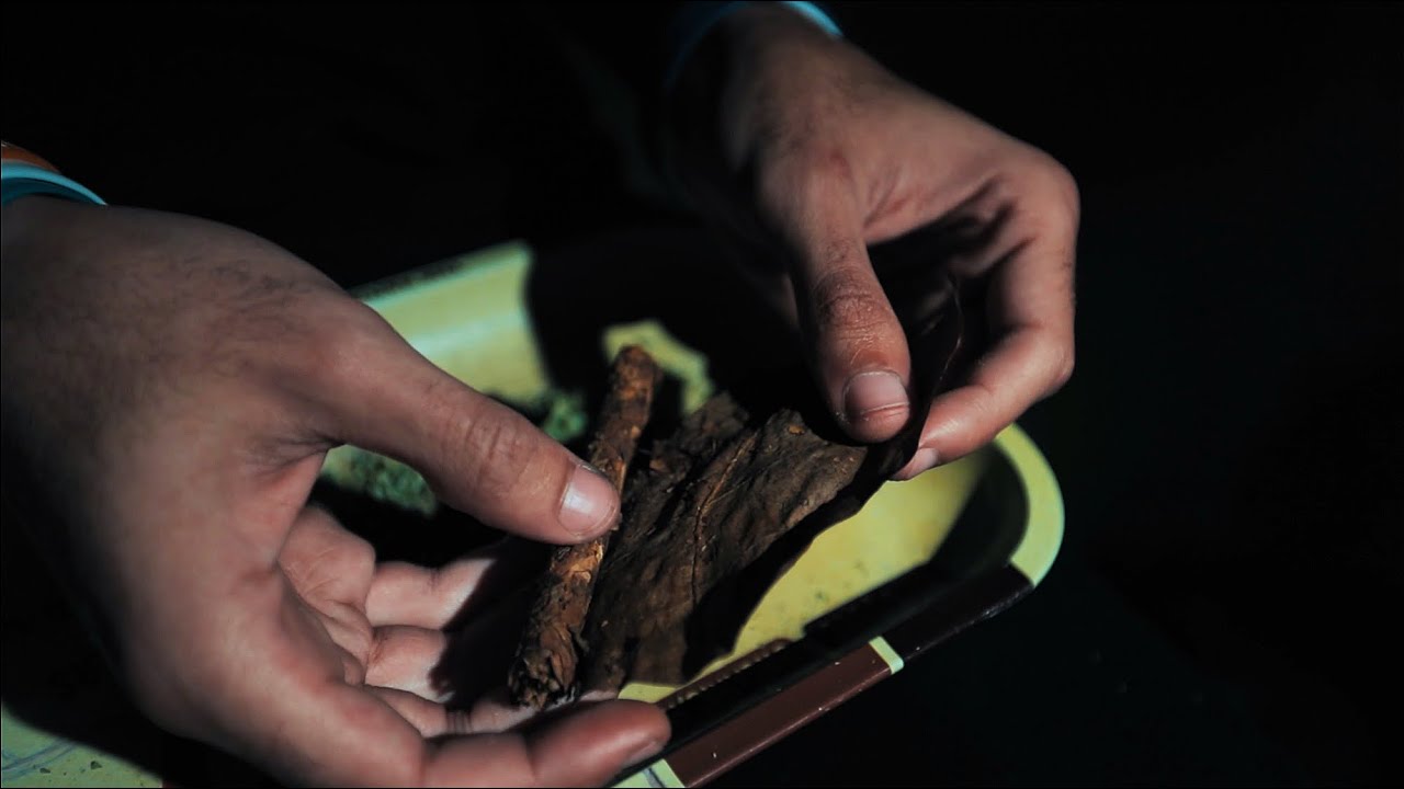 FRYENATION | Plus Enhancer Commercial