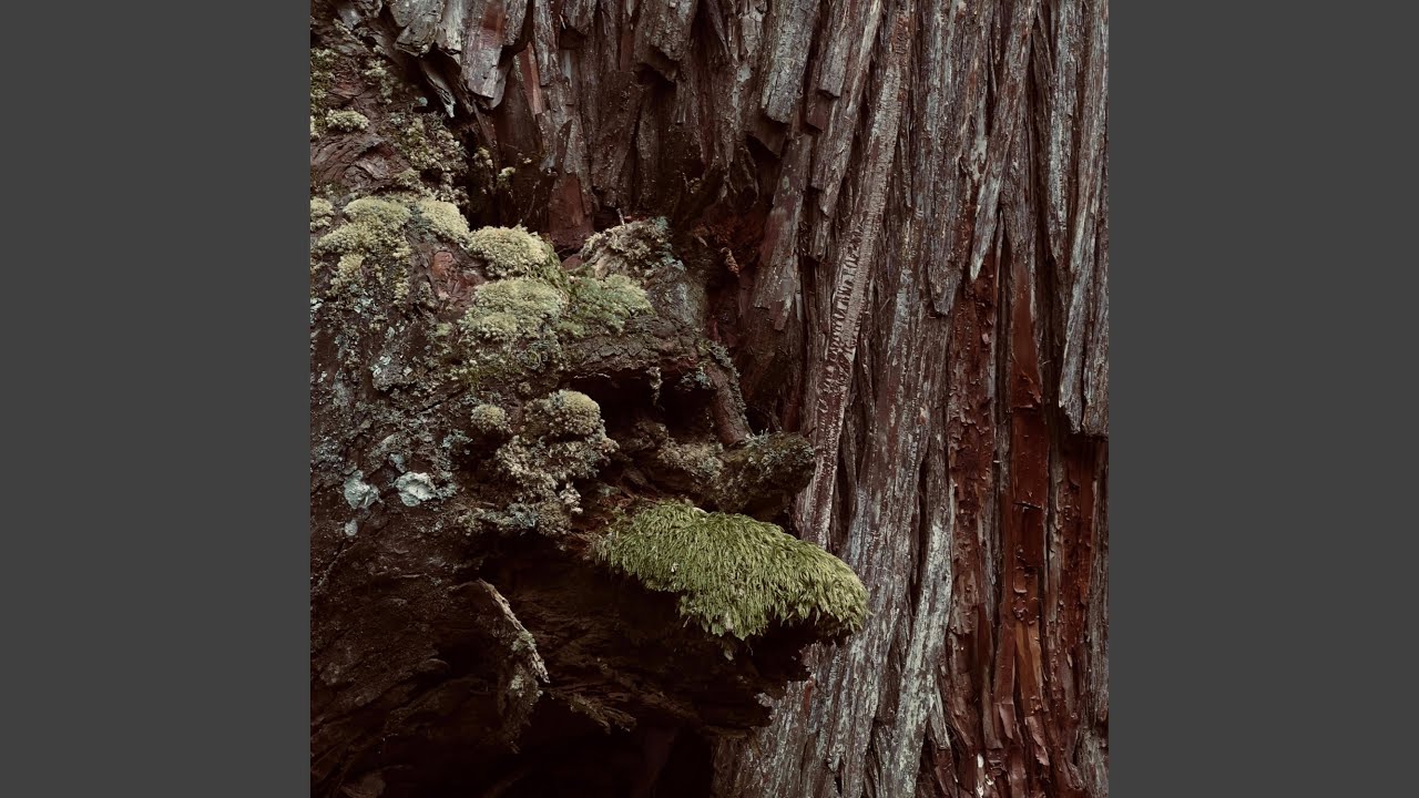 30 Minute Heart Expanse (528hz)