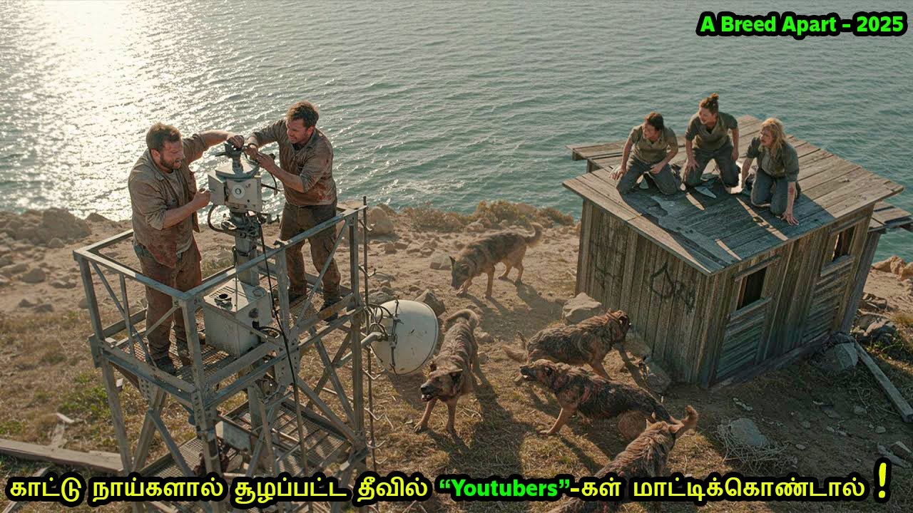 பரபரப்பு அள்ளும் விறுவிறுப்பு துள்ளும் கதை | Tamil Recap | Movie Tamil Review