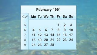 February 1991 Calendar
