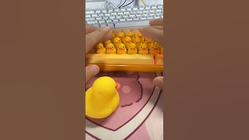 QUACKboard - Lucifer Duck Keyboard with 46 ducks #keyboard