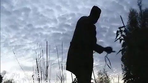 yung strati ~ teriyaki sauce