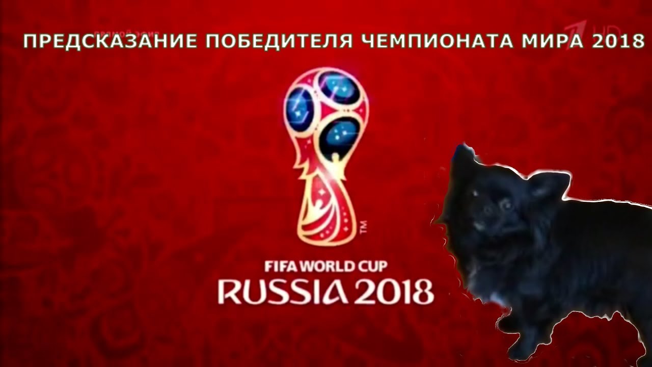 ПРЕДСКАЗАНИЕ ПОБЕДИТЕЛЯ ЧМ ПО ФУТБОЛУ 2018 - YouTube