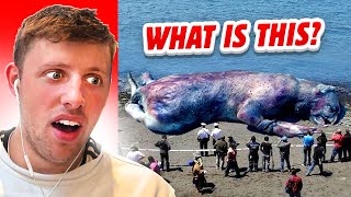 STRANGEST THINGS TO WASH UP ON SHORE!