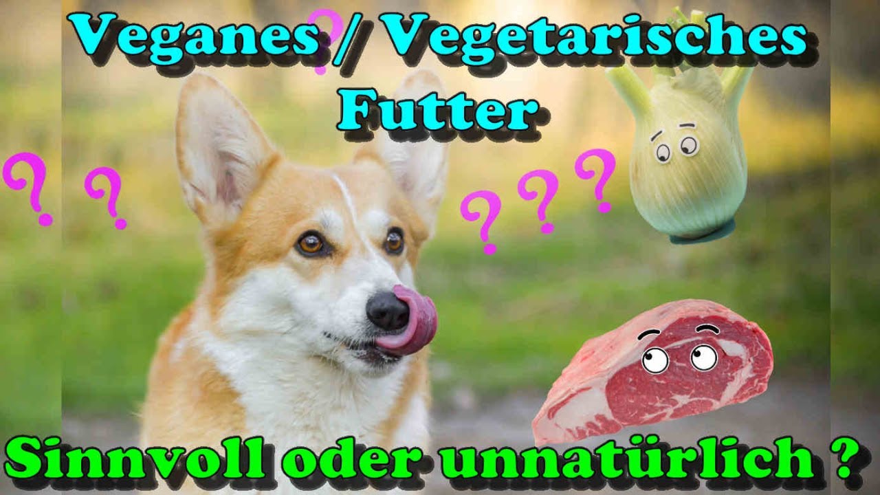 Ist Vegetarisches Hundefutter sinnvoll ? / veganes Hundefutter /  Hundeernhrung / Nature Trails