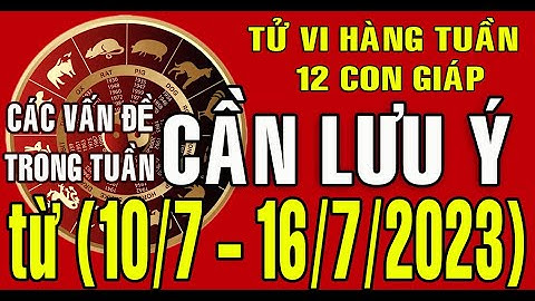 Tử vi Tuần mới (10/7 - 16/7/2023) CÁC VẤN ĐỀ CẦN LƯU Ý TRONG TUẦN cho 12 con giáp