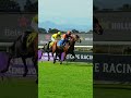 Three impressive wins for ONE STRIPE
