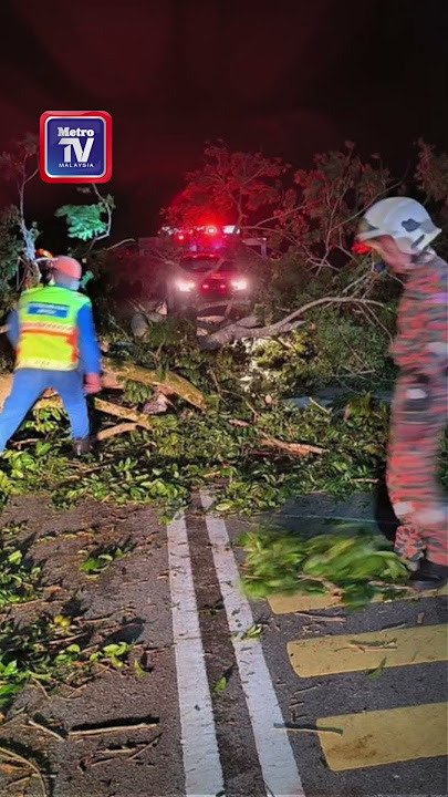 Lelaki Pakistan maut dihempap pokok