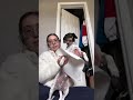 CHIWEENIE SPA SESSION | ASMR DOG GROOMING | #CLEAN |  CUTE &amp; FUNNY DOG VID 🐶#chiweenie #cute