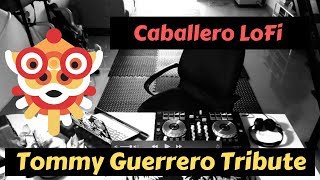 🎸🏵Tommy Guerrero Tribute. 👁/Lofi Set 12 /Caballero LoFi / Lo-Fi/Funky/Sun Rock/Instrumental.🔝🔴