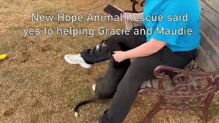 Gracie & Maudie's Rescue Story