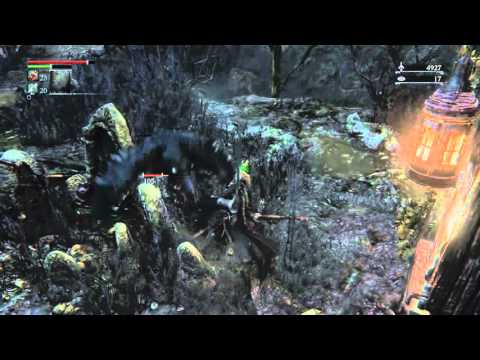 Bloodborne co op