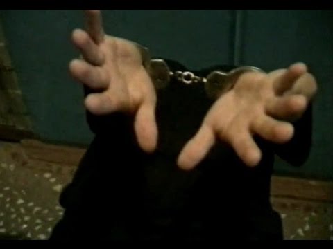 Как избежать ареста и заключения Как избежать ареста и заключения