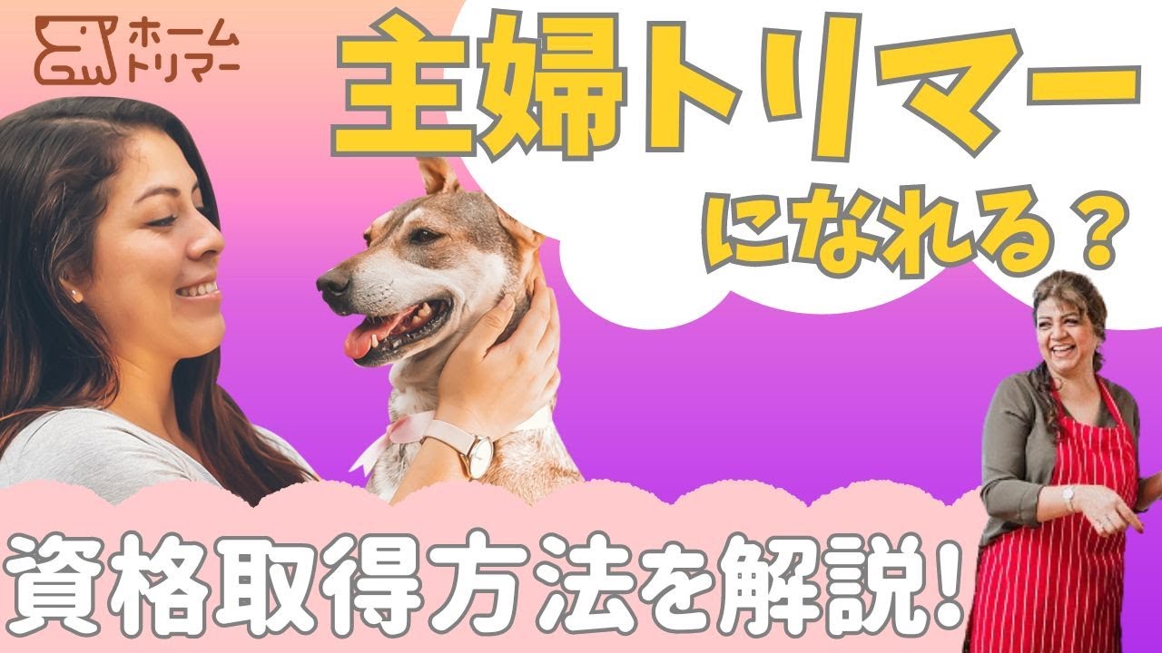 主婦トリマーになれる？資格取得方法を解説！