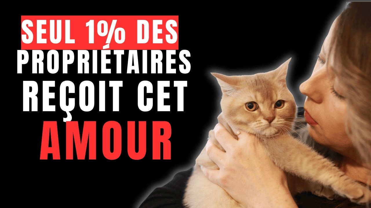 Si Votre Chat Fait Ça, Il Vous Aime Plus Que Vous Ne L’Imaginez (10 Signes)