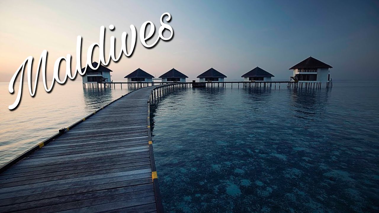 THE MALDIVES | FLYING THE NEST
