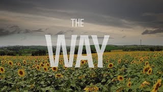 206 - THE WAY OF LUKE 22:47-53