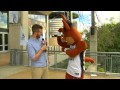 Interview with Antonio Coyote