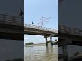 Jumping from bridge to catch fish #catching #villagelife #netfishing #riverlife #fishinglife