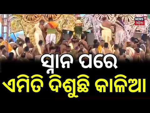 ସ୍ନାନ ପରେ ଏମିତି ଦିଶୁଛି କାଳିଆ Puri Jagannath Temple | Jay Jagannath।Snana Purnima 2026 | Rath Yatra