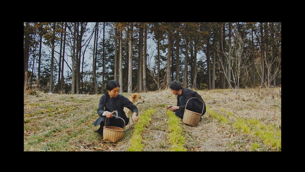 えみおわす 手紡ぎ手編み ヒマラヤウール ベスト みすぼらしく