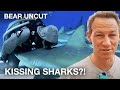 Face to Face with Caribbean Reef Sharks - Bear Uncut