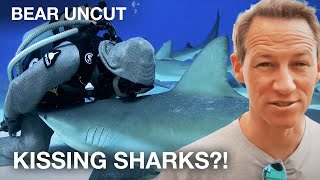 Face to Face with Caribbean Reef Sharks - Bear Uncut