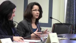 TTIP 101 Briefing Part 4:  Karen Hansen-Kuhn, Institute for Agriculture and Trade Policy