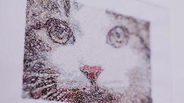 BERNINA Embroidery Software 8: Color PhotoStitch