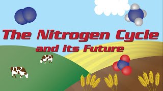 The Nitrogen Cycle and its Future Explained
