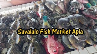 Savalalo Fish Market Saturday 5 April 2024 Samoa Entertainment Tv