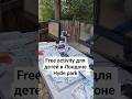 Free ACTIVITY in London Hyde park! #freeactivity #Hydepark #familydayout