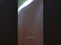 الشامه الجوه خدچ احلى من چم ليل وخدودچ ضواهن چنه صبحيه