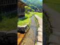 【岐阜県旅行】美しき日本の里の風景