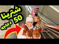 شترينا 50 دجاجه لشهر رمضان من المزارع الألمانية ابو عكال وبنين 