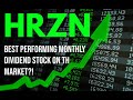 Deep Dive Into Monthly Dividend Stock Horizon Technology Finance