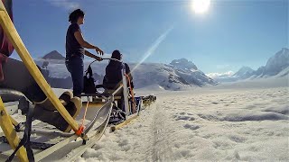 Juneau, Alaska - Dog Sledding on the Mendenhall Glacier