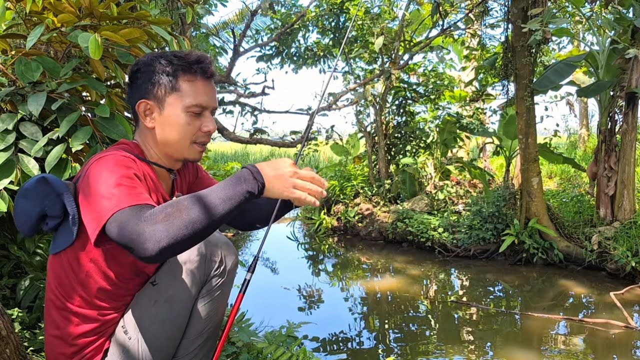 KEMARIN MANCING DISINI DAPAT 28 EKOR
