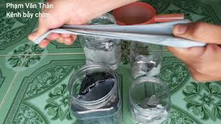 Keo bẫy chim sẻ - Bán keo bẫy chim sẻ 0395270176 - 0942435534