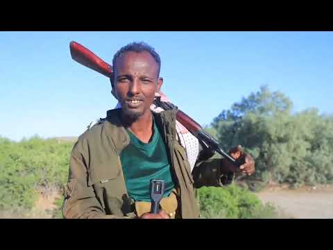 Dagaalki Lagujabiyey Gadabursi Kaley Sodonta Maydkina 