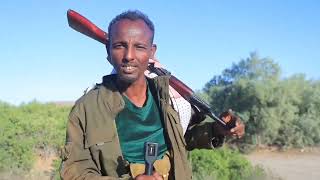 Download Lagu Dagaalki lagujabiyey gadabursi kaley sodonta maydkina  MP3