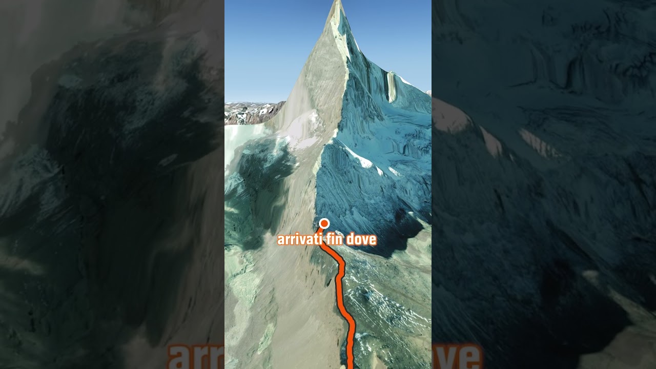 Il primo abete sul Cervino?