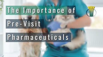 Anesthesia: The Importance of Pre-Visit Pharmaceuticals