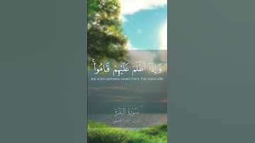 سورة البقرة #المصحف #اكسبلور