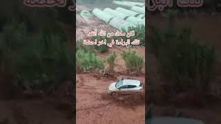 شاهد لحظة انقاذ الاب لابنائه من السيارة في فياضانات الجزائر