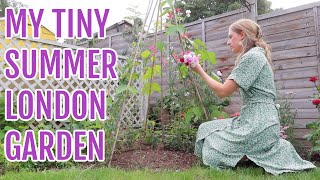 MY TINY SUMMER LONDON GARDEN / GARDENING FOR BEGINNERS