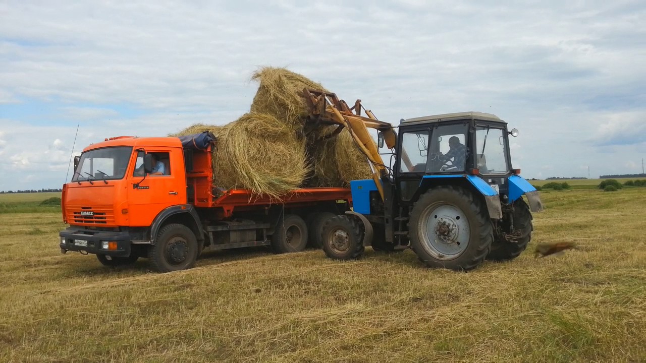 Трактора грузят. МТЗ 80 сенокос. МТЗ 82 сенокос. Сенокос погрузка сена МТЗ 82. МТЗ 80 сенокос погрузка.