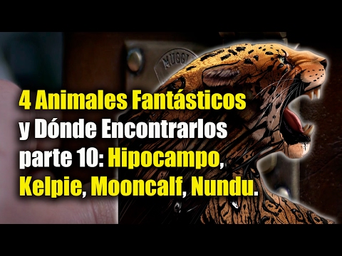 Vídeo: Animales Fantásticos Míticos De Todo El Mundo (¡y Dónde Encontrarlos!)