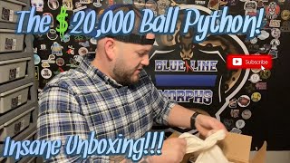 The $20,000 Ball Python!!   ||   Blue Line Morphs' Biggest Unboxing Ever!!!