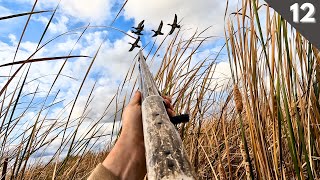 Hunting Stale Ducks On Public Land Leroy s Best Hunt Yet